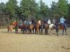 slipractice042909022_edited1_small.jpg