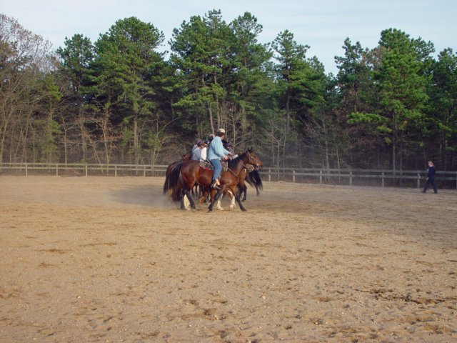 slipractice042909037_edited1.jpg