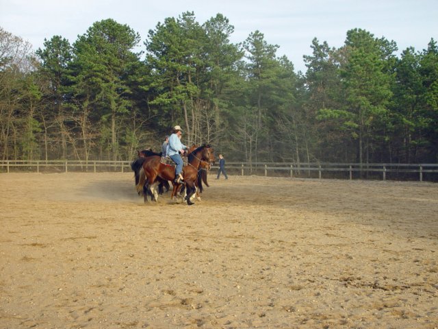 slipractice042909039_edited1.jpg