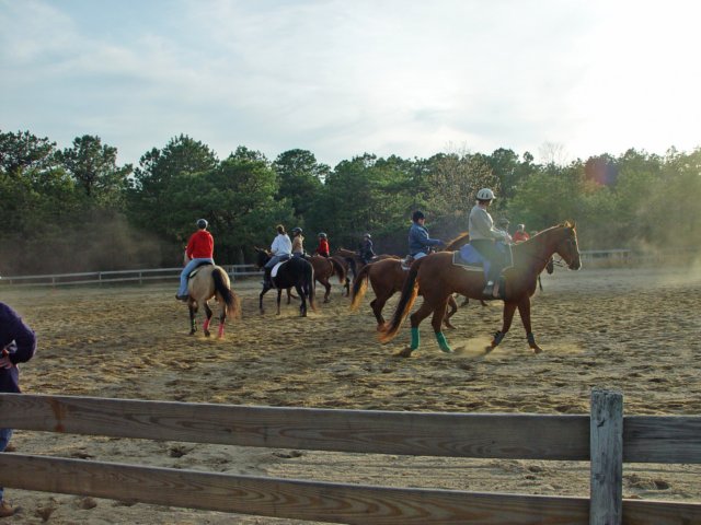 slipractice042909051_edited1.jpg