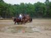 slipractice050609076_edited1_small.jpg
