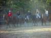 solipractice051309009_edited1_small.jpg