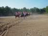 solipractice051309018_edited1_small.jpg