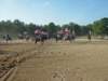 solipractice051309020_edited1_small.jpg
