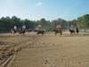 solipractice051309021_edited1_small.jpg