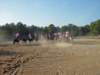 solipractice051309039_edited1_small.jpg