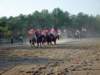 solipractice051309040_edited1_small.jpg