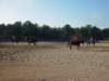 solipractice051309045_edited1_small.jpg