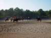 solipractice051309047_edited1_small.jpg