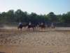 solipractice051309048_edited1_small.jpg