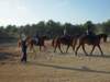 solipractice051309053_edited1_small.jpg