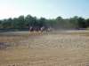 solipractice051309061_edited1_small.jpg