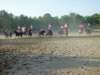 solipractice051309069_edited1_small.jpg