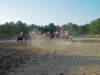 solipractice051309076_edited1_small.jpg