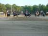 solipractice051309114_edited1_small.jpg