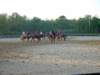 solipractice051309130_edited1_small.jpg