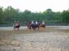 solipractice051309131_edited1_small.jpg