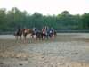 solipractice051309132_edited1_small.jpg