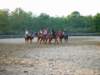 solipractice051309133_edited1_small.jpg