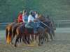 solipractice051309138_edited1_small.jpg