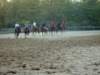 solipractice051309143_edited1_small.jpg
