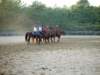 solipractice051309144_edited1_small.jpg