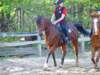 solipractice052009019_edited1_small.jpg