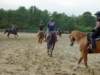 solipractice052709014_edited1_small.jpg