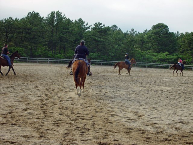 solipractice052709015_edited1.jpg