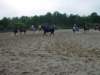 solipractice052709018_edited1_small.jpg