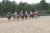 solipractice061709053_small.jpg