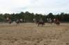 solipractice061709055_small.jpg