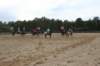 solipractice061709077_small.jpg