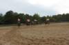 solipractice061709098_small.jpg