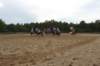 solipractice061709127_small.jpg
