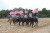solipractice061709146_small.jpg