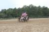 solipractice061709149_small.jpg