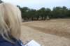 solipractice061709219_small.jpg