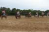 solipractice061709231_small.jpg