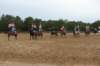 solipractice061709232_small.jpg