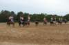solipractice061709233_small.jpg