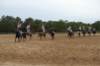 solipractice061709236_small.jpg