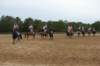solipractice061709237_small.jpg