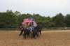 solipractice061709243_small.jpg