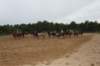 solipractice061709247_small.jpg