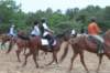 solipractice061709268_small.jpg