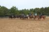 solipractice061709271_small.jpg