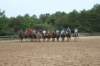 solipractice061709273_small.jpg