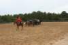 solipractice061709275_small.jpg