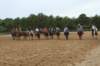 solipractice061709276_small.jpg